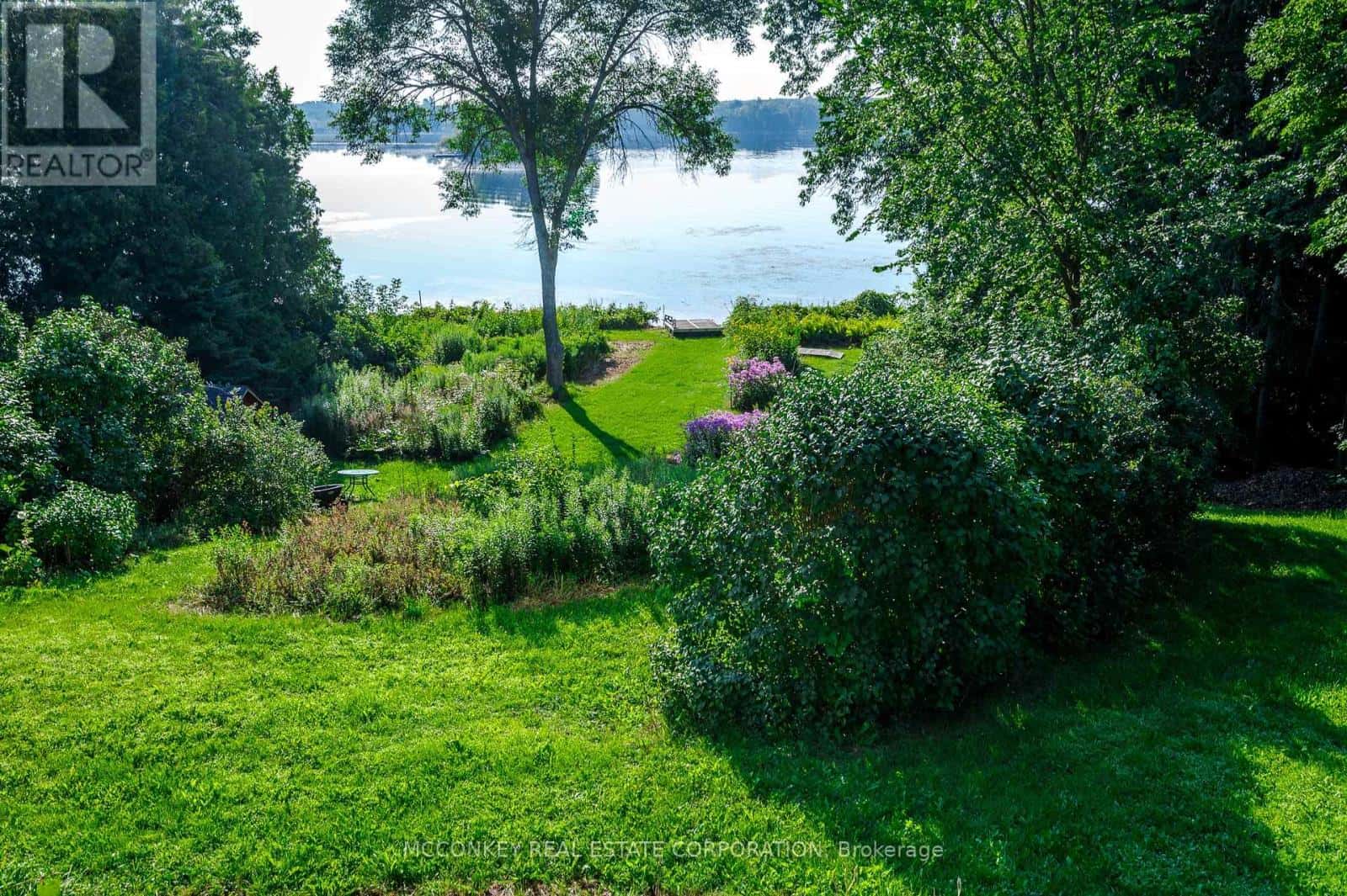 Selwyn — Selwyn - Photo 4 of 41