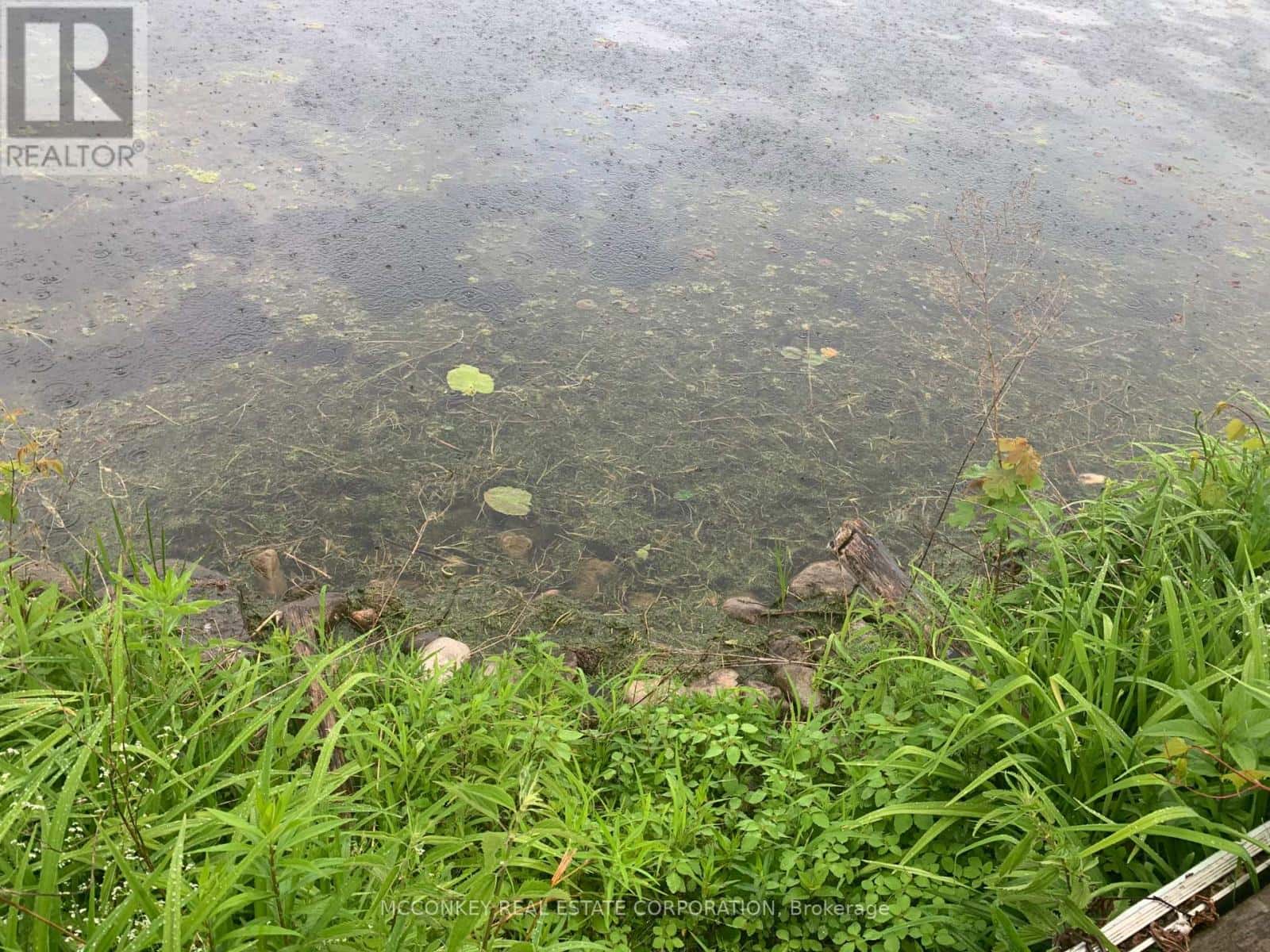 Selwyn — Selwyn - Photo 3 of 41