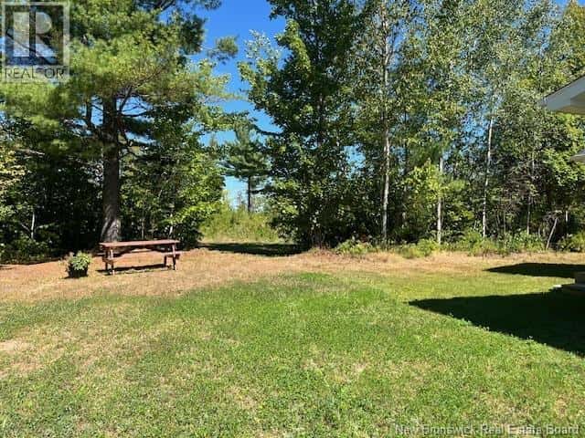 Pokemouche — Pokemouche - Photo 3 of 23