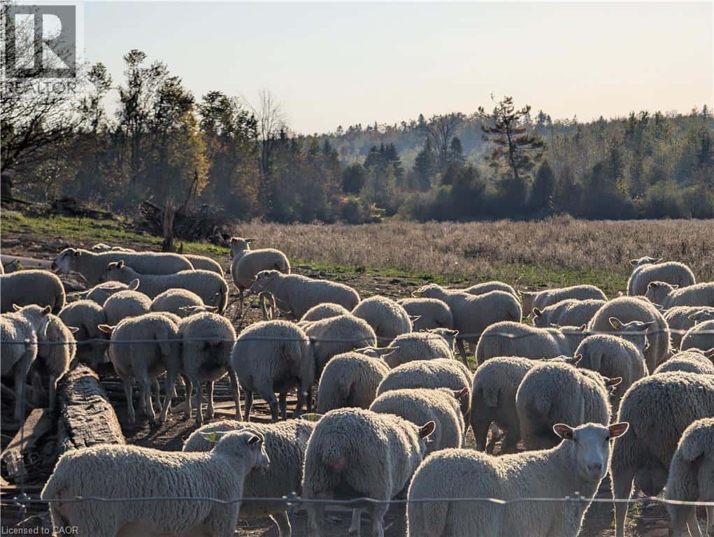 229 CREEK VIEW Road — Woodville, Ontario - Photo 2 of 27
