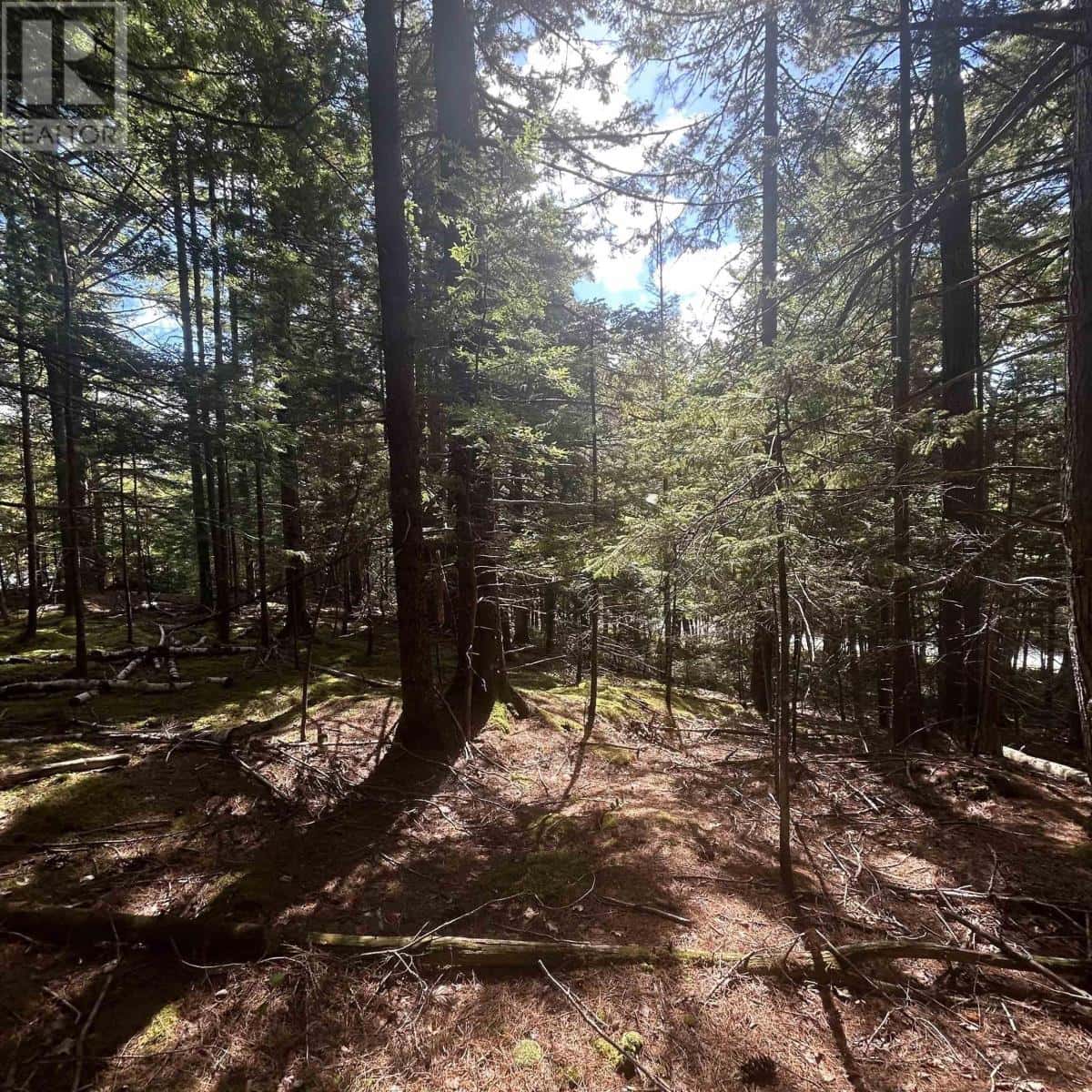 Lot 25-4 Conquerall Mills Road — Conquerall Mills, Nova Scotia - Photo 4 of 6