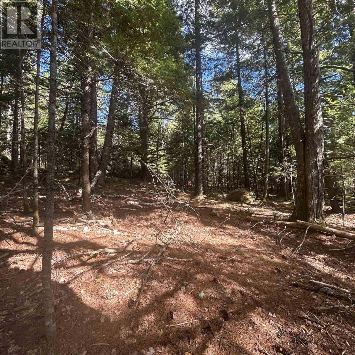 Lot 25-4 Conquerall Mills Road — Conquerall Mills, Nova Scotia - Photo 5 of 6