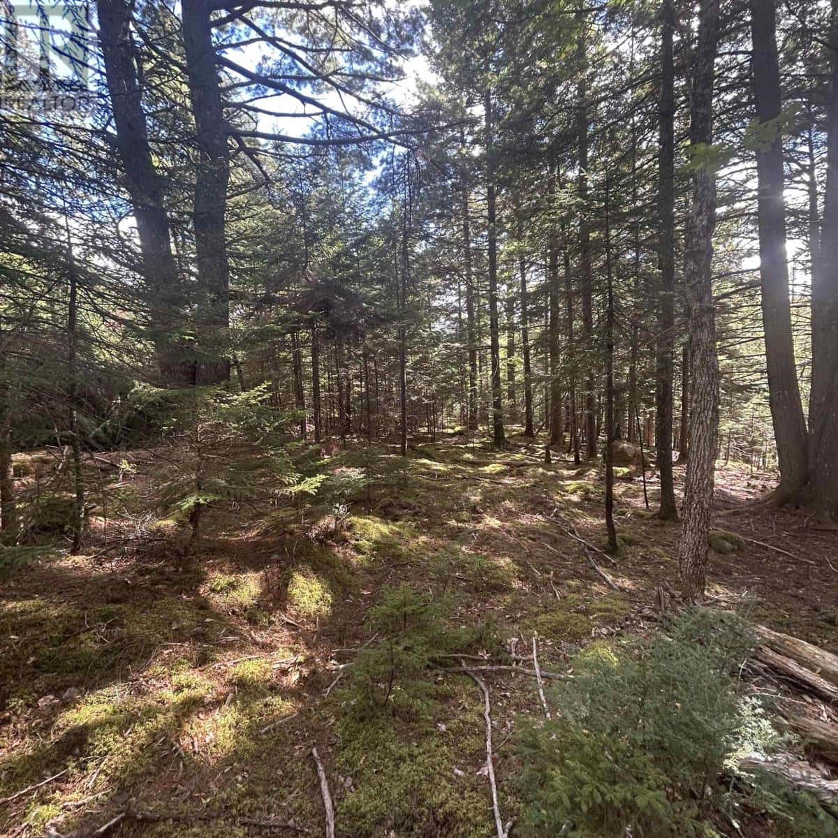 Lot 25-4 Conquerall Mills Road — Conquerall Mills, Nova Scotia - Photo 3 of 6