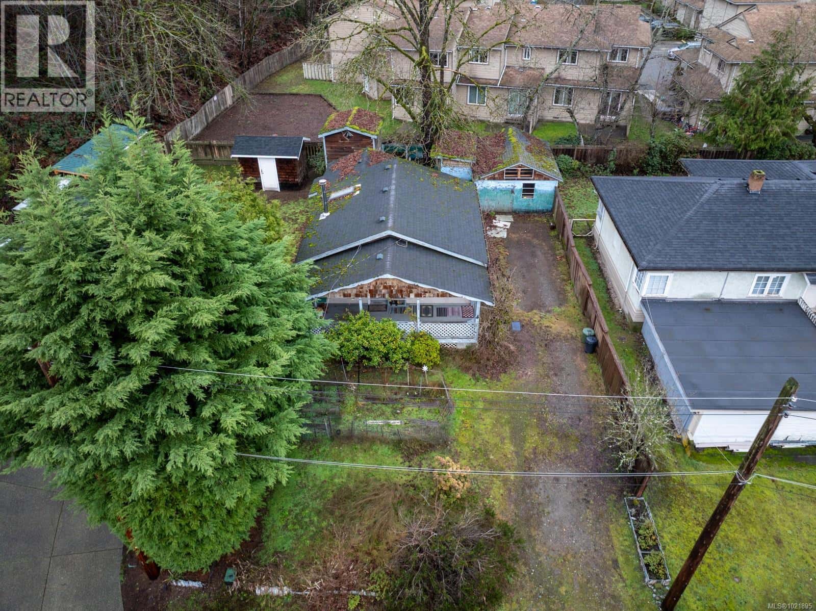 Duncan — Duncan - Photo 3 of 18