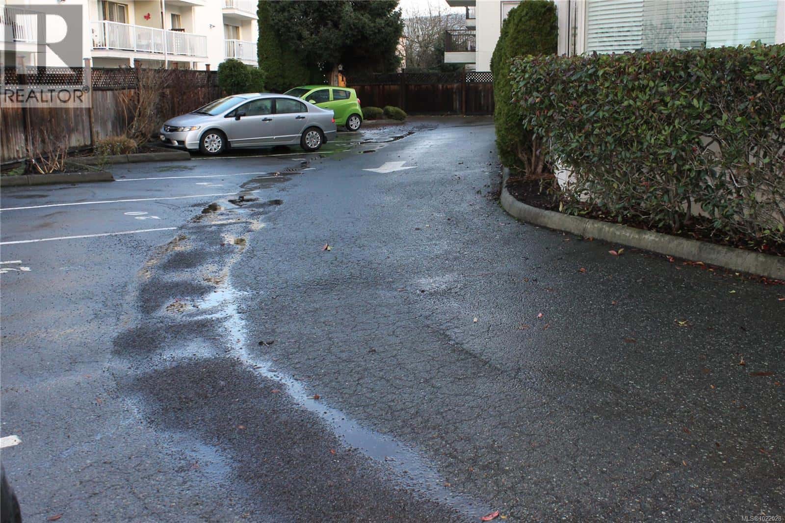 Duncan — Duncan - Photo 4 of 19