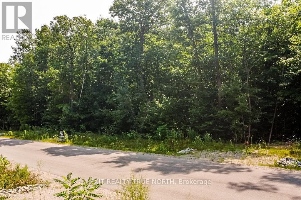 Tiny — Tiny - Main photo