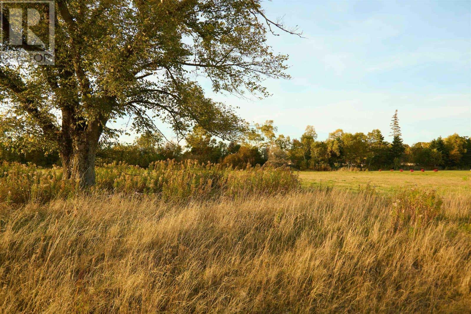 Waterside — Waterside - Photo 3 of 7