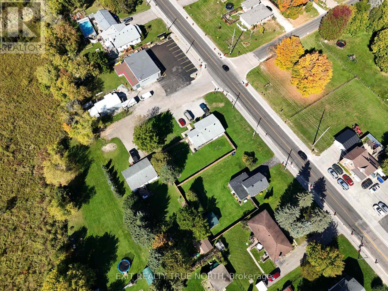 Tiny (Wyebridge) — Tiny (Wyebridge) - Photo 5 of 27