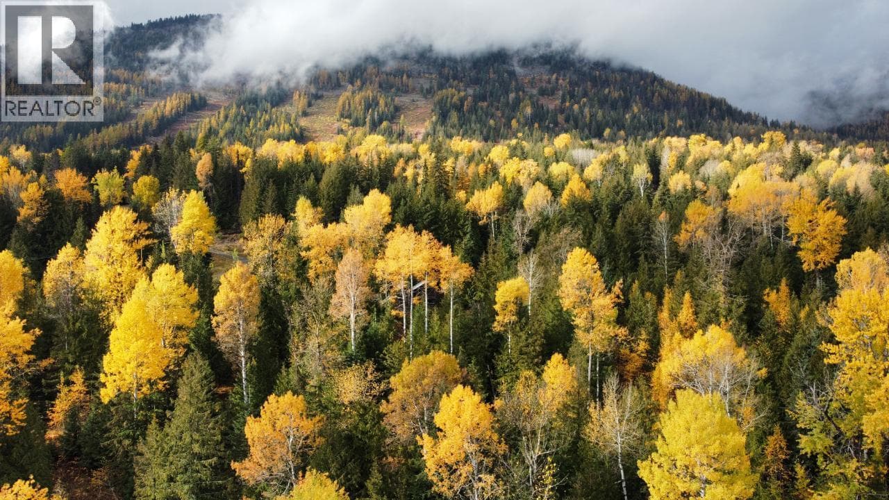 Rossland — Rossland - Main photo