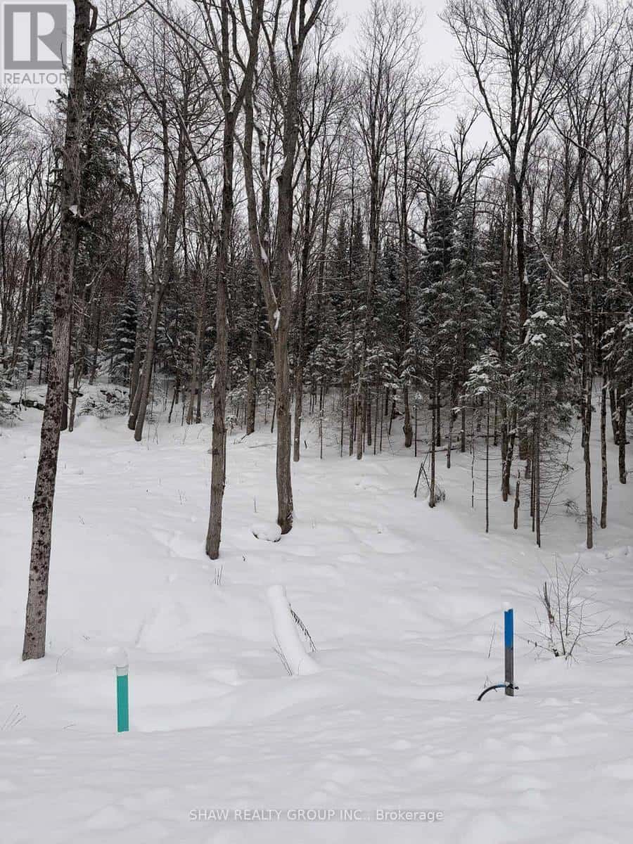 Huntsville (Chaffey) — Huntsville (Chaffey) - Photo 2 of 3