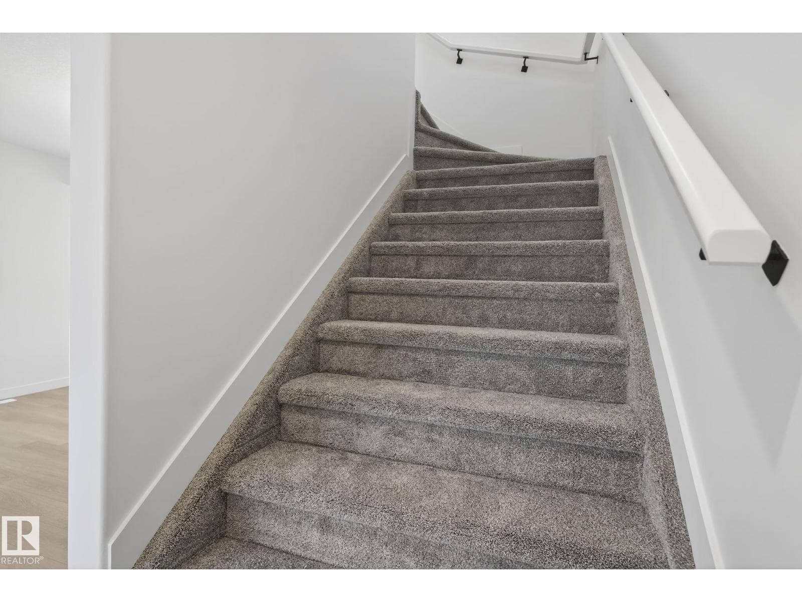 Spruce Grove — Spruce Grove - Main photo