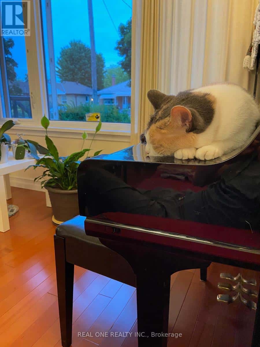 Toronto (Wexford-Maryvale) — Toronto (Wexford-Maryvale) - Photo 3 of 15