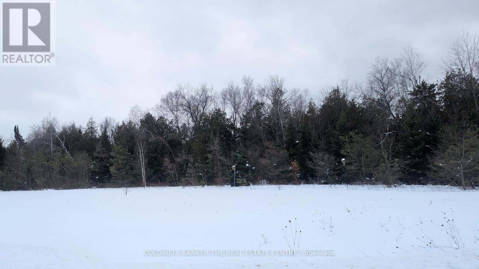 6 TIOGA BOULEVARD — Adjala-Tosorontio, Ontario - Photo 2 of 6