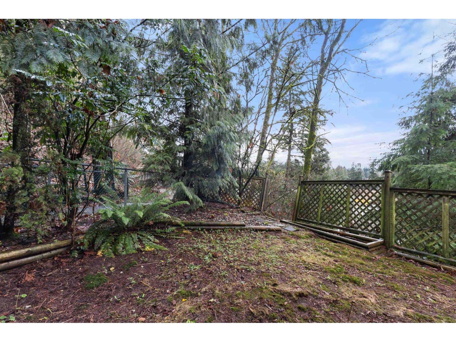 34825 CASSIAR COURT — Abbotsford - Photo 5 of 40