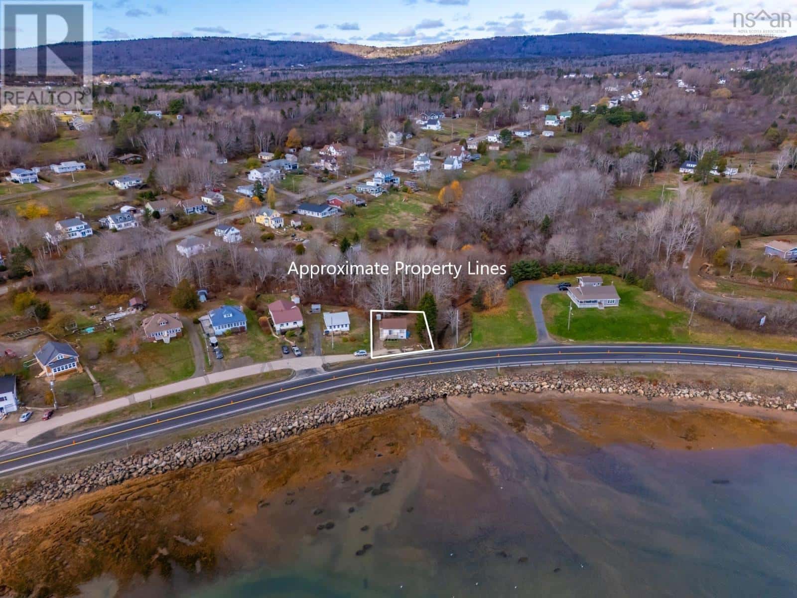 Digby — Digby - Photo 4 of 28