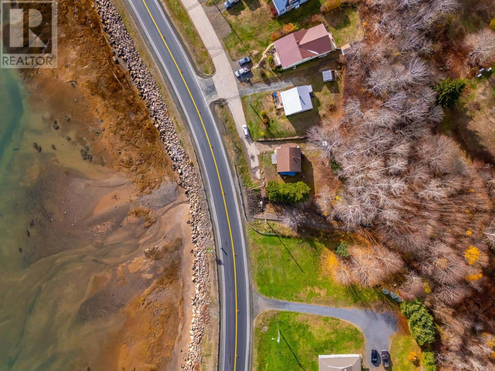 Digby — Digby - Photo 3 of 28