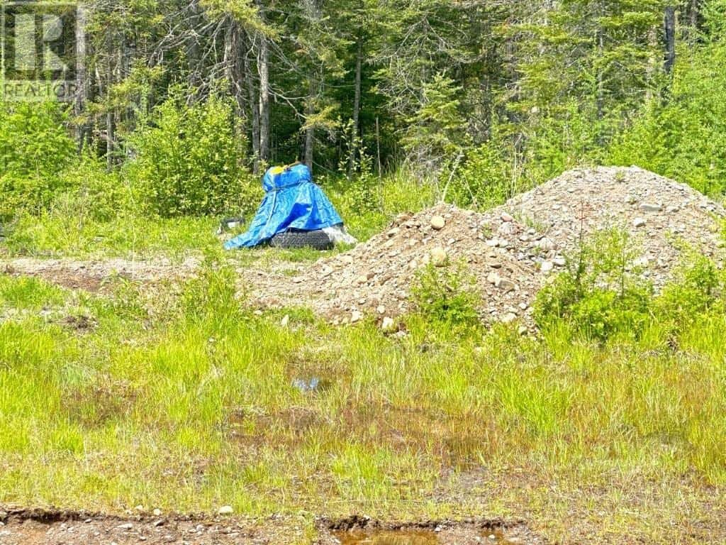 Thunder Bay — Thunder Bay - Photo 3 of 35