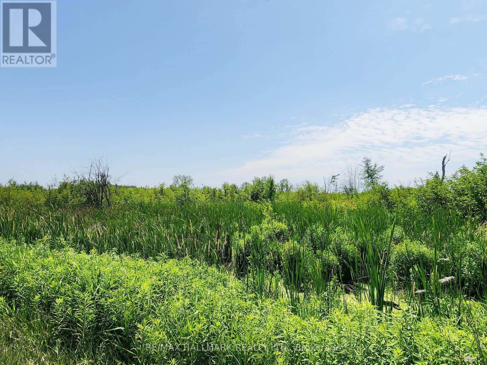 East Gwillimbury — East Gwillimbury - Photo 2 of 7