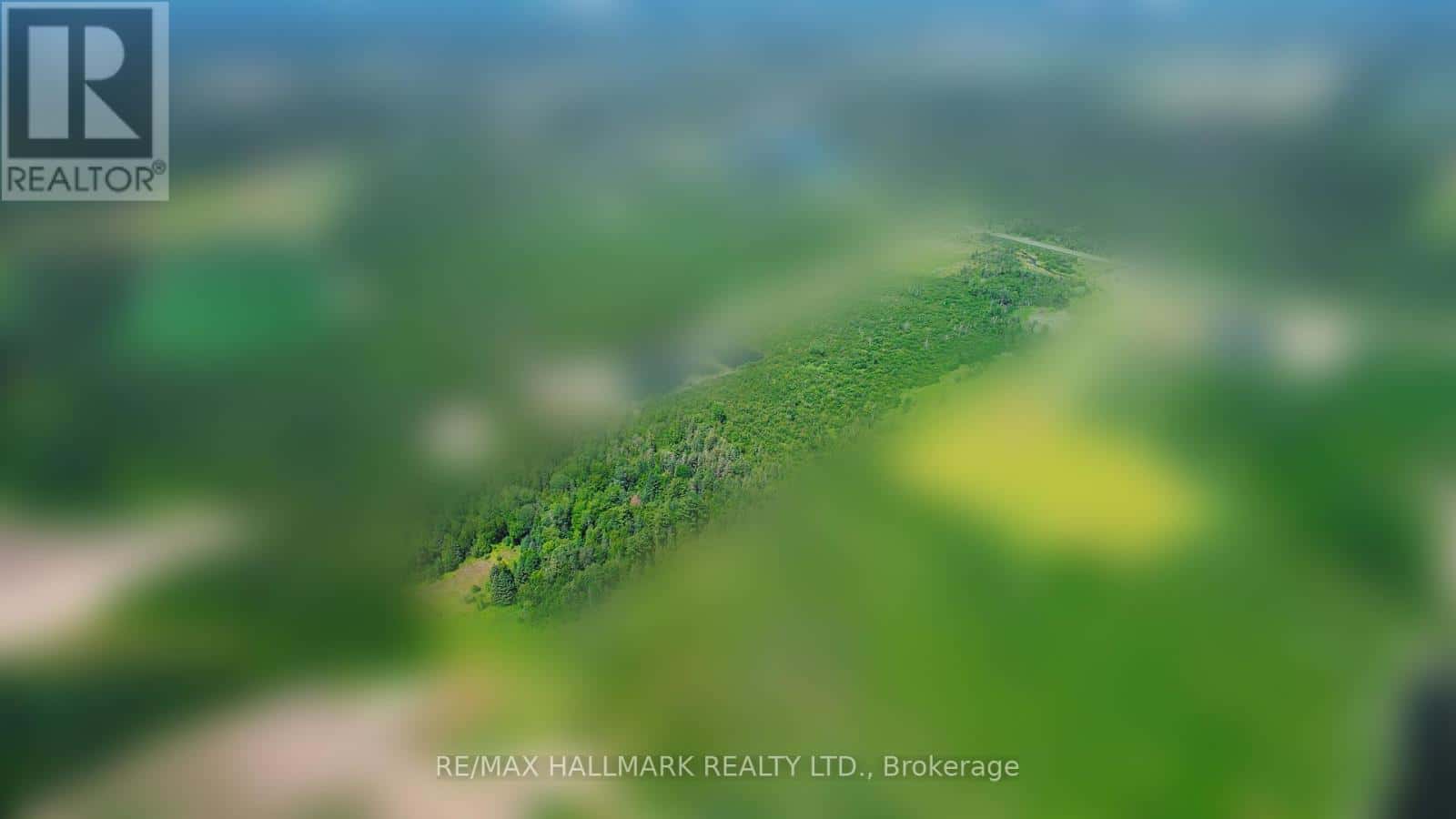 East Gwillimbury — East Gwillimbury - Photo 5 of 7