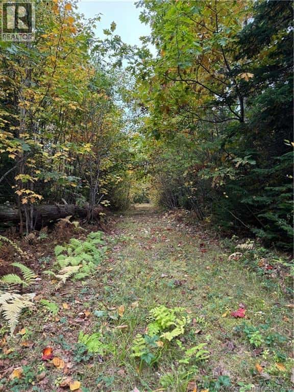 Long Creek — Long Creek - Photo 3 of 4