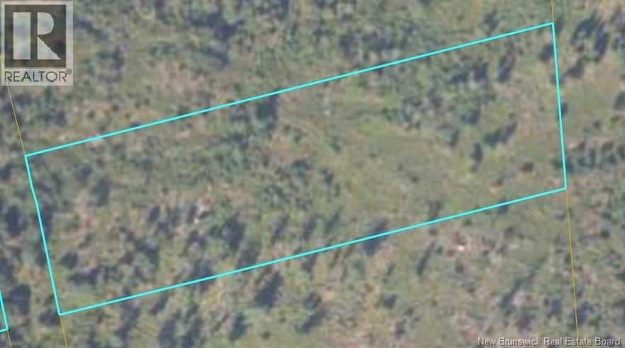 Long Creek — Long Creek - Photo 4 of 4