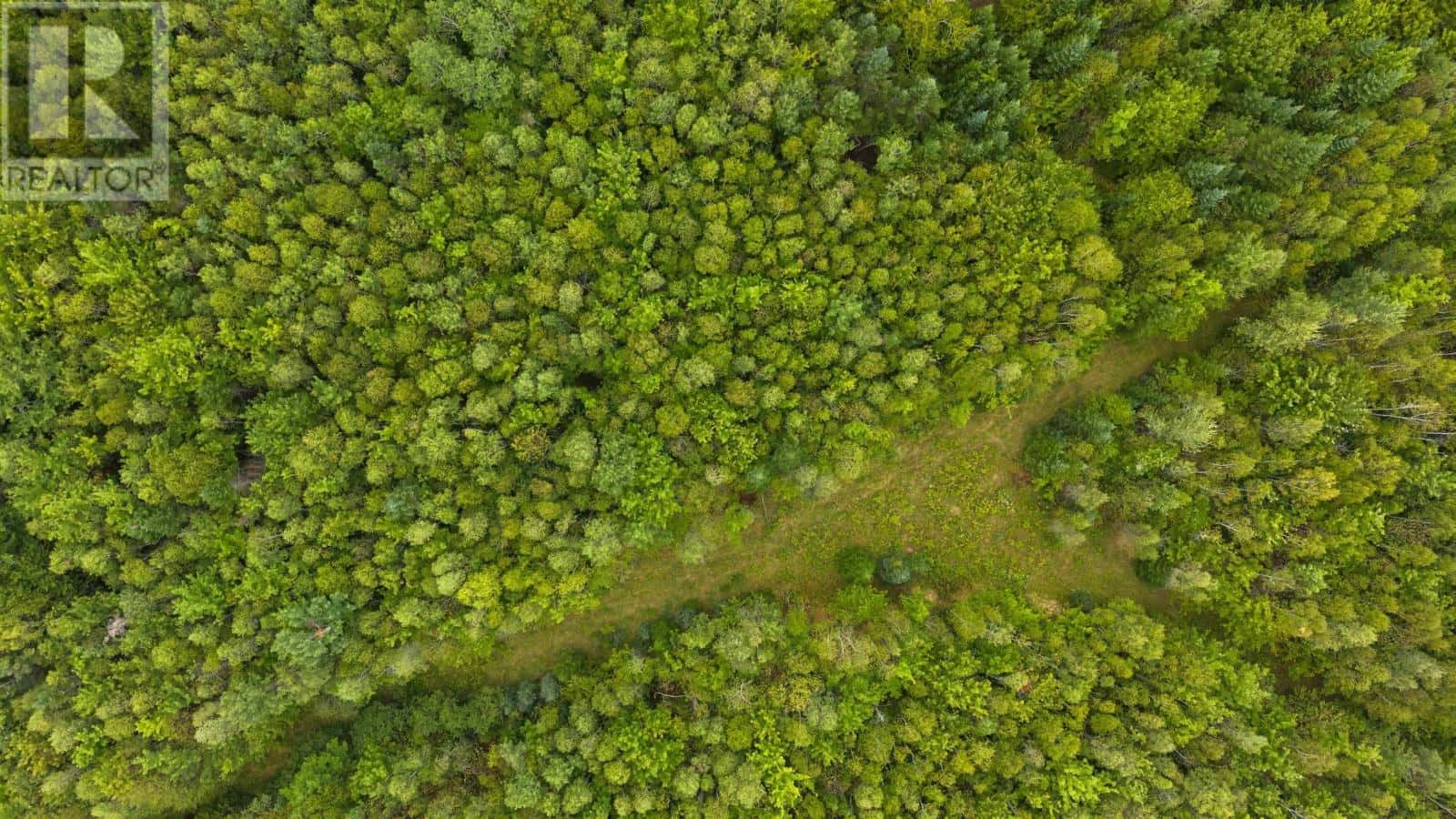 Pleasant Valley — Pleasant Valley - Photo 4 of 26