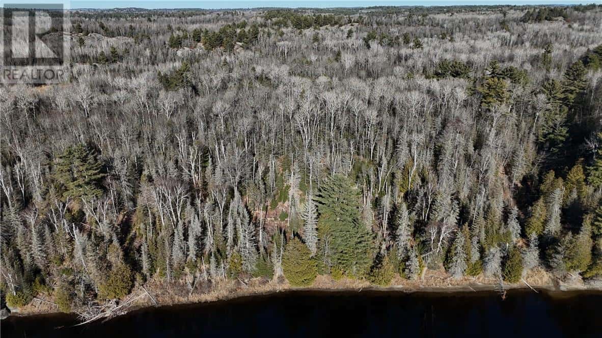 Espanola — Espanola - Photo 3 of 11