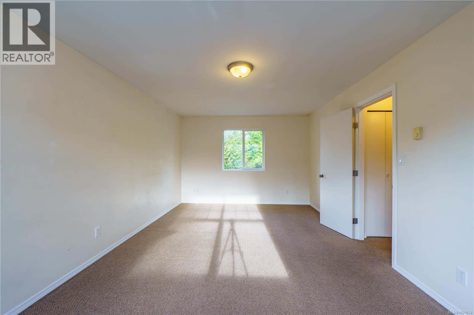 Tofino — Tofino - Photo 5 of 42