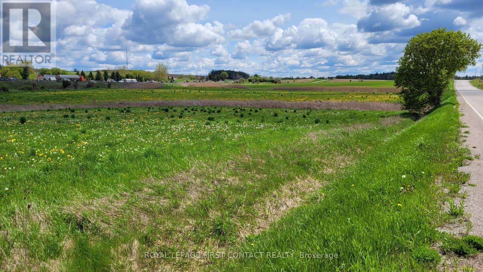 Bradford West Gwillimbury — Bradford West Gwillimbury - Photo 4 of 8