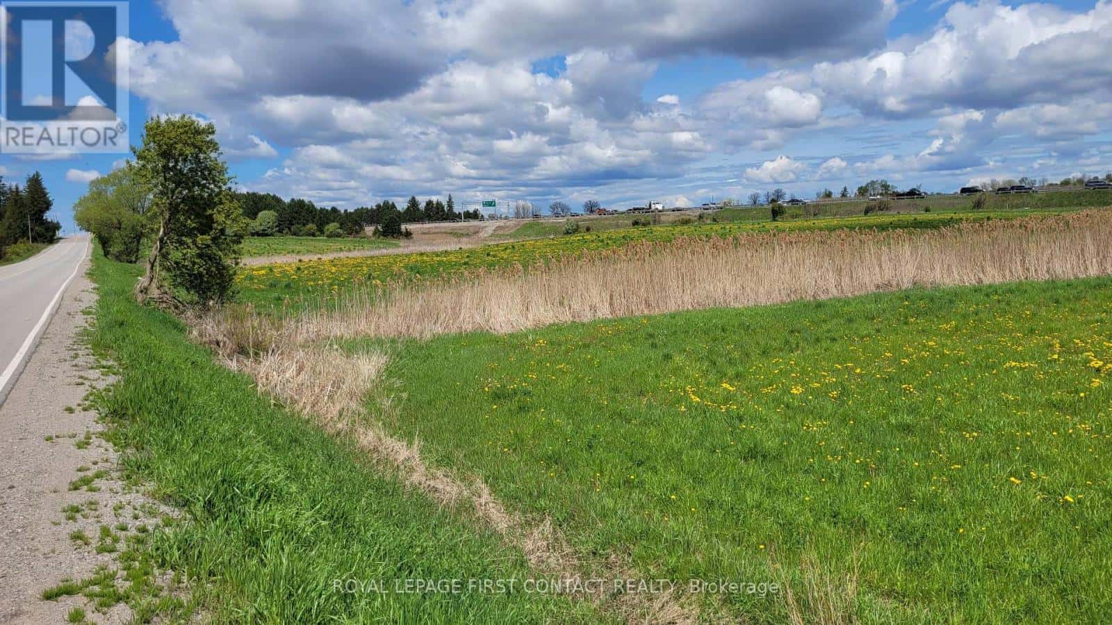 Bradford West Gwillimbury — Bradford West Gwillimbury - Photo 5 of 8