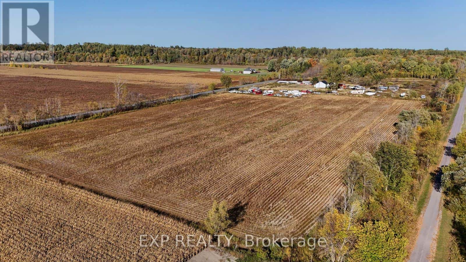 Alfred and Plantagenet — Alfred and Plantagenet - Photo 5 of 6