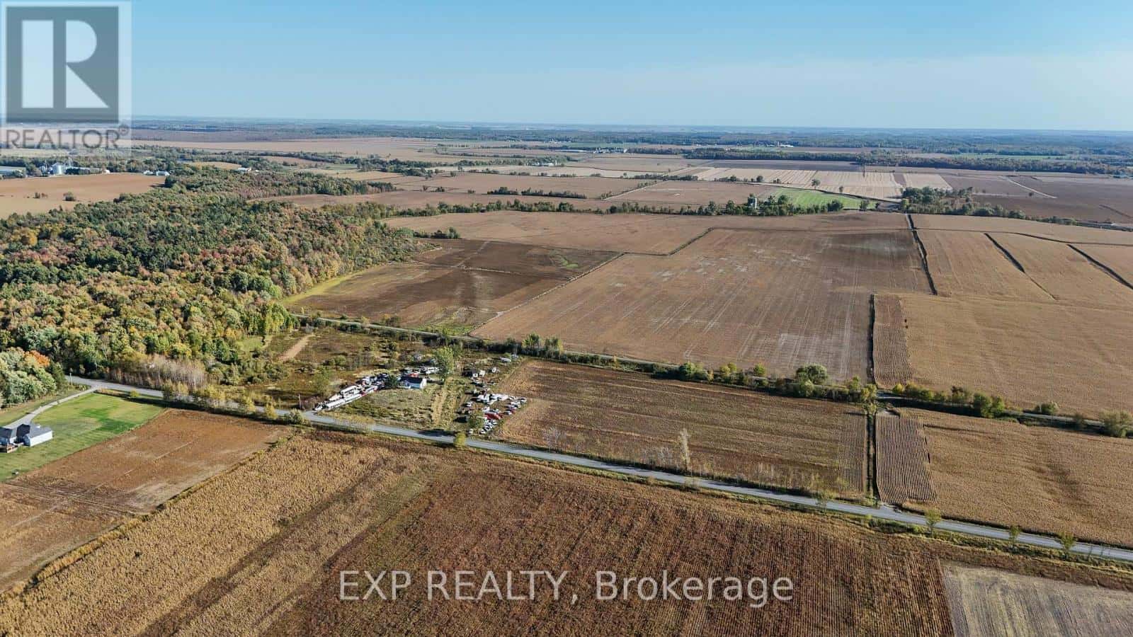 Alfred and Plantagenet — Alfred and Plantagenet - Photo 2 of 6