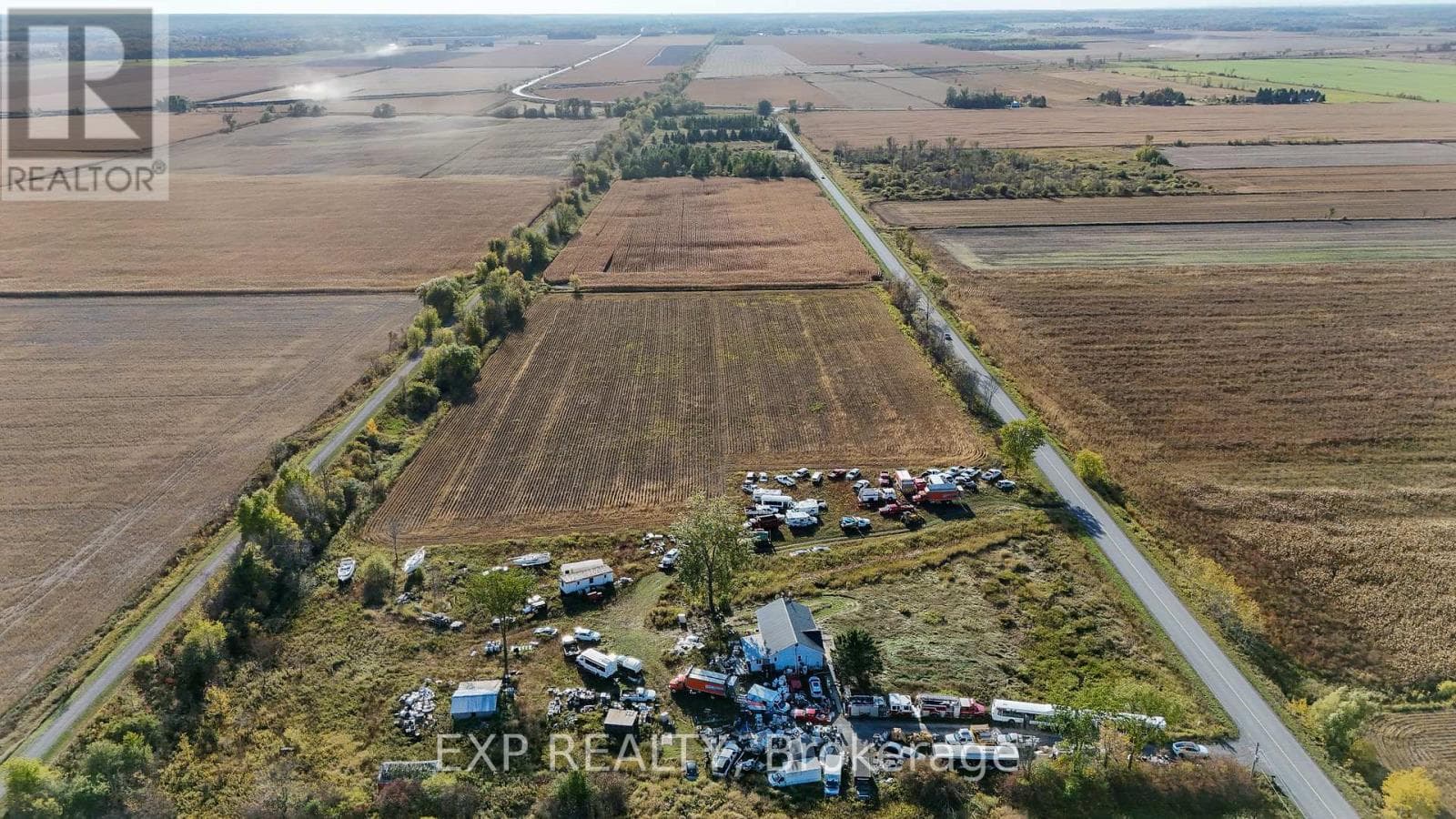 Alfred and Plantagenet — Alfred and Plantagenet - Main photo