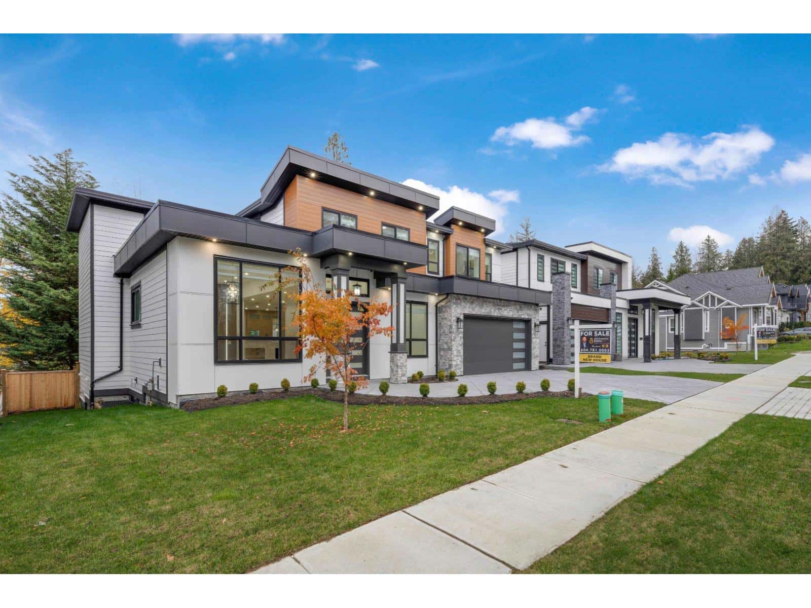 Surrey — Surrey - Photo 2 of 40