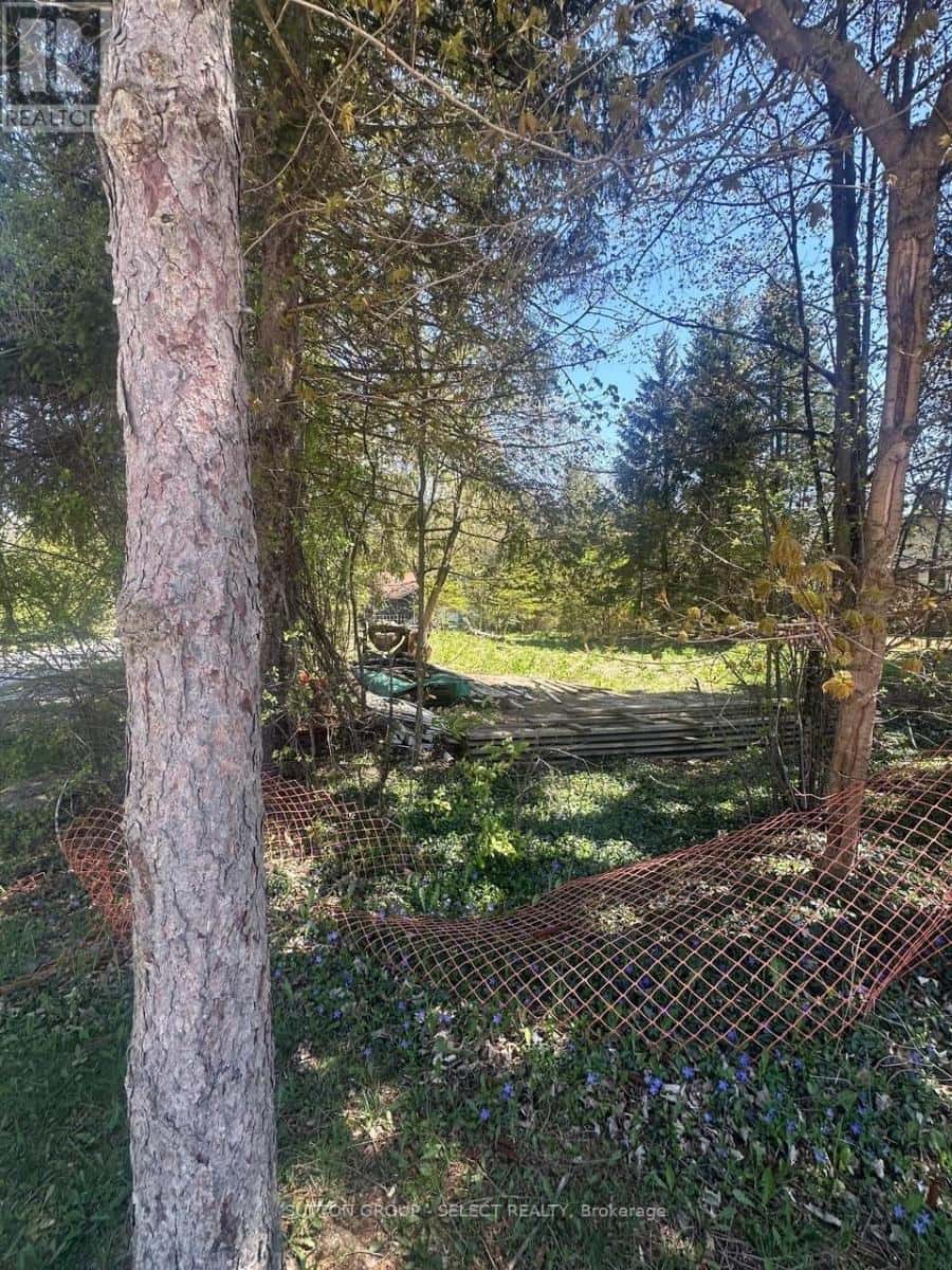 Bluewater (Bayfield) — Bluewater (Bayfield) - Photo 5 of 5