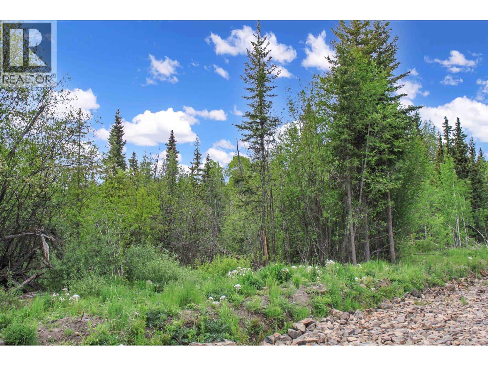 PROP LOT 19 BROWN ROAD — Bridge Lake, British Columbia - Photo 5 of 22