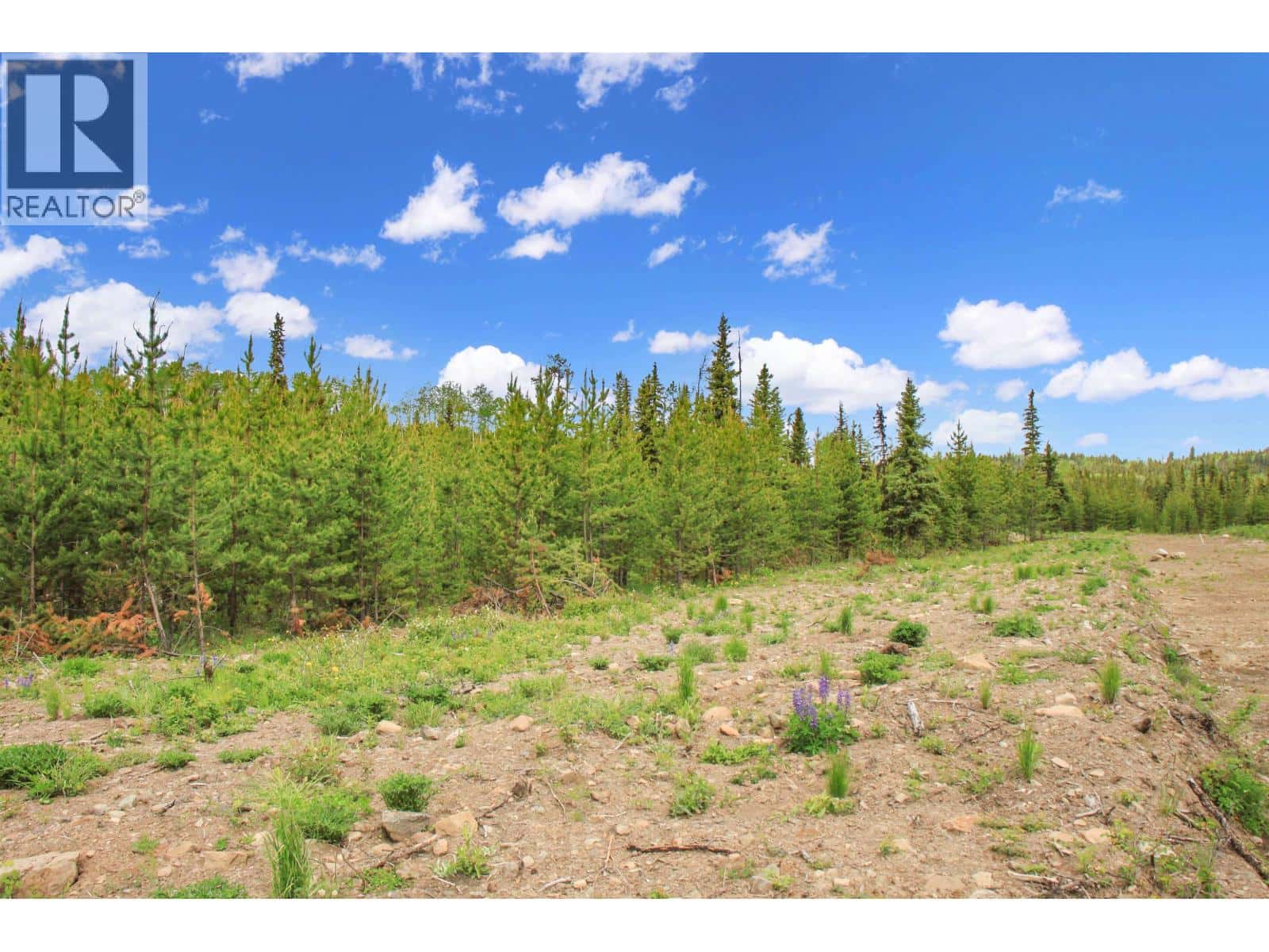 PROP LOT 19 BROWN ROAD — Bridge Lake, British Columbia - Photo 4 of 22