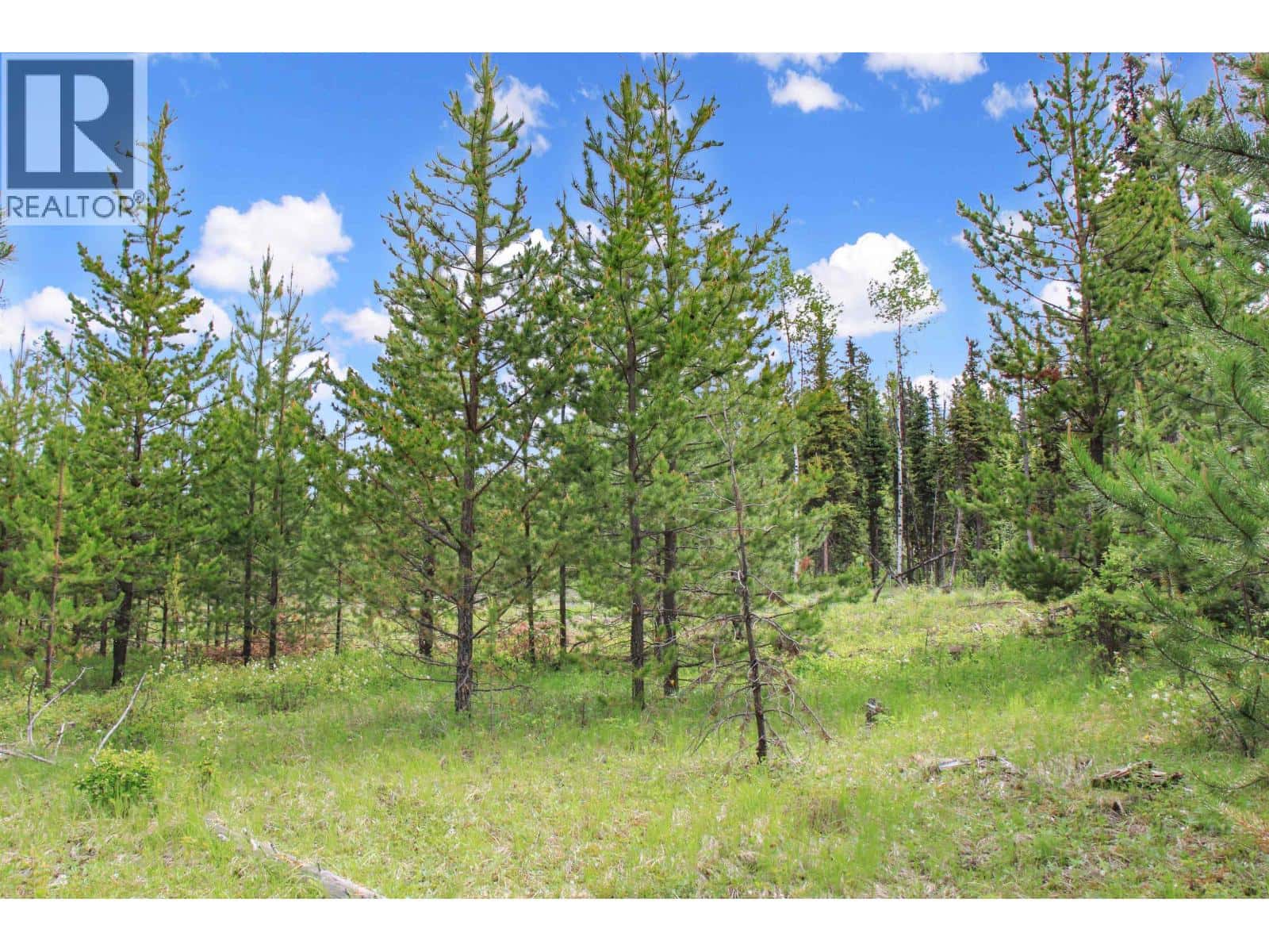 PROP LOT 19 BROWN ROAD — Bridge Lake, British Columbia - Photo 3 of 22