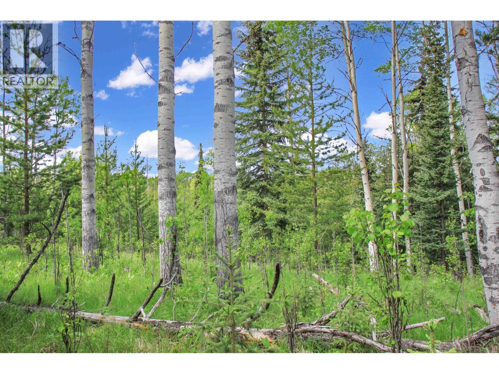 PROP LOT 19 BROWN ROAD — Bridge Lake, British Columbia - Main photo