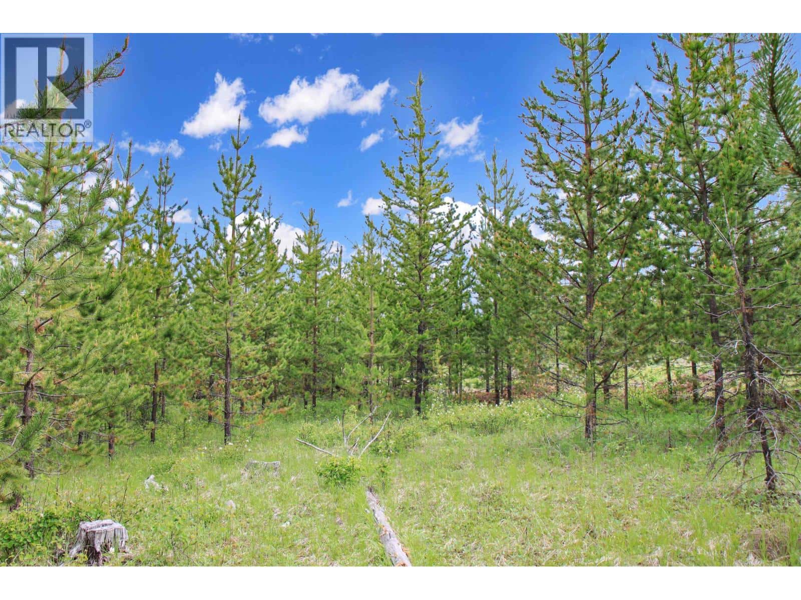 PROP LOT 19 BROWN ROAD — Bridge Lake, British Columbia - Photo 2 of 22