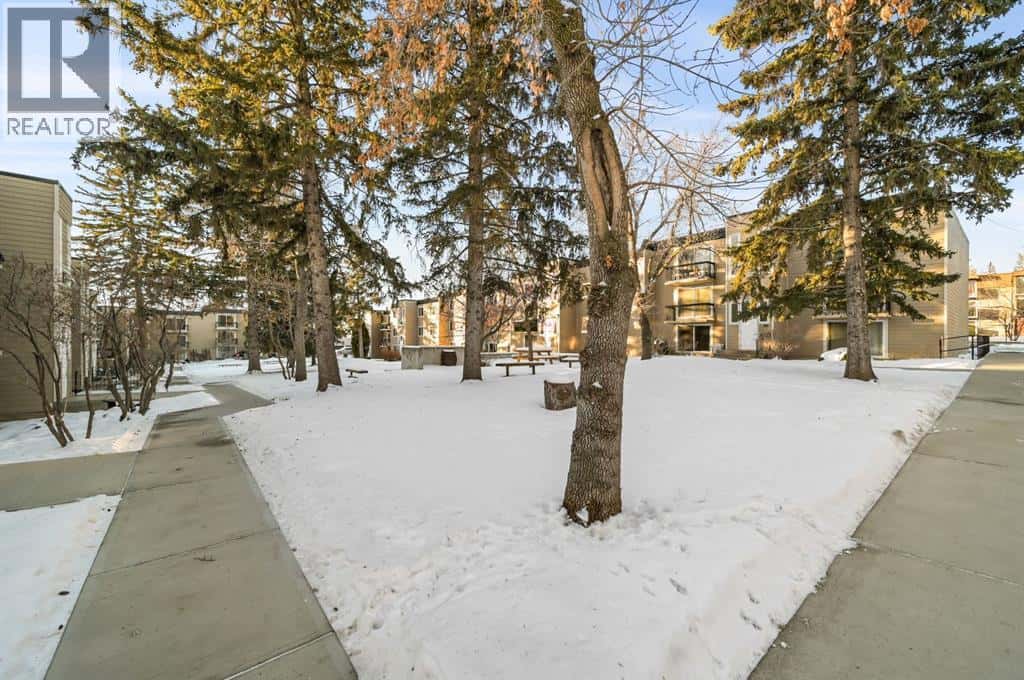 Calgary — Calgary - Photo 2 of 21