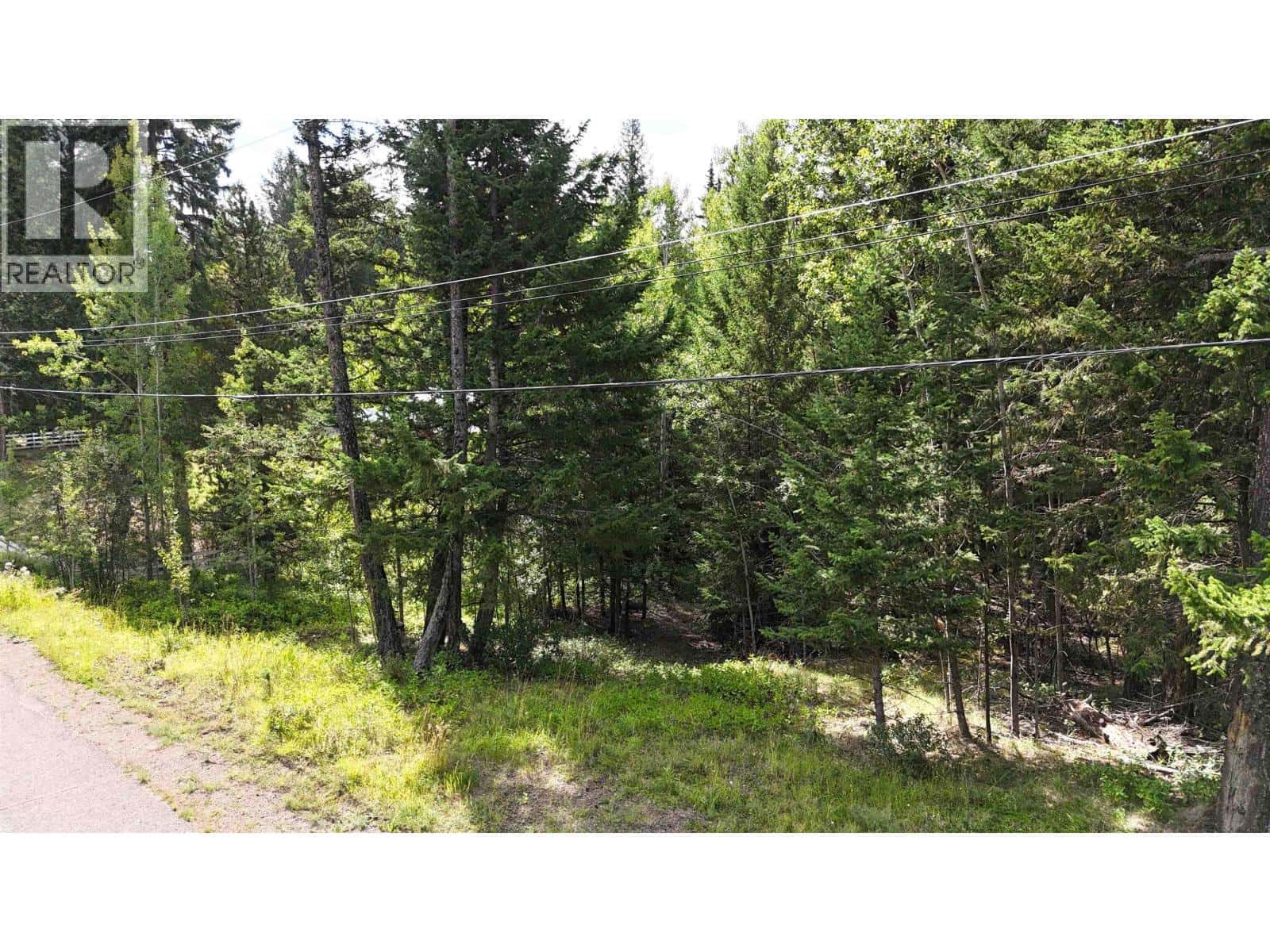 6120 RANCHETTE ROAD — Horse Lake, British Columbia - Photo 4 of 11