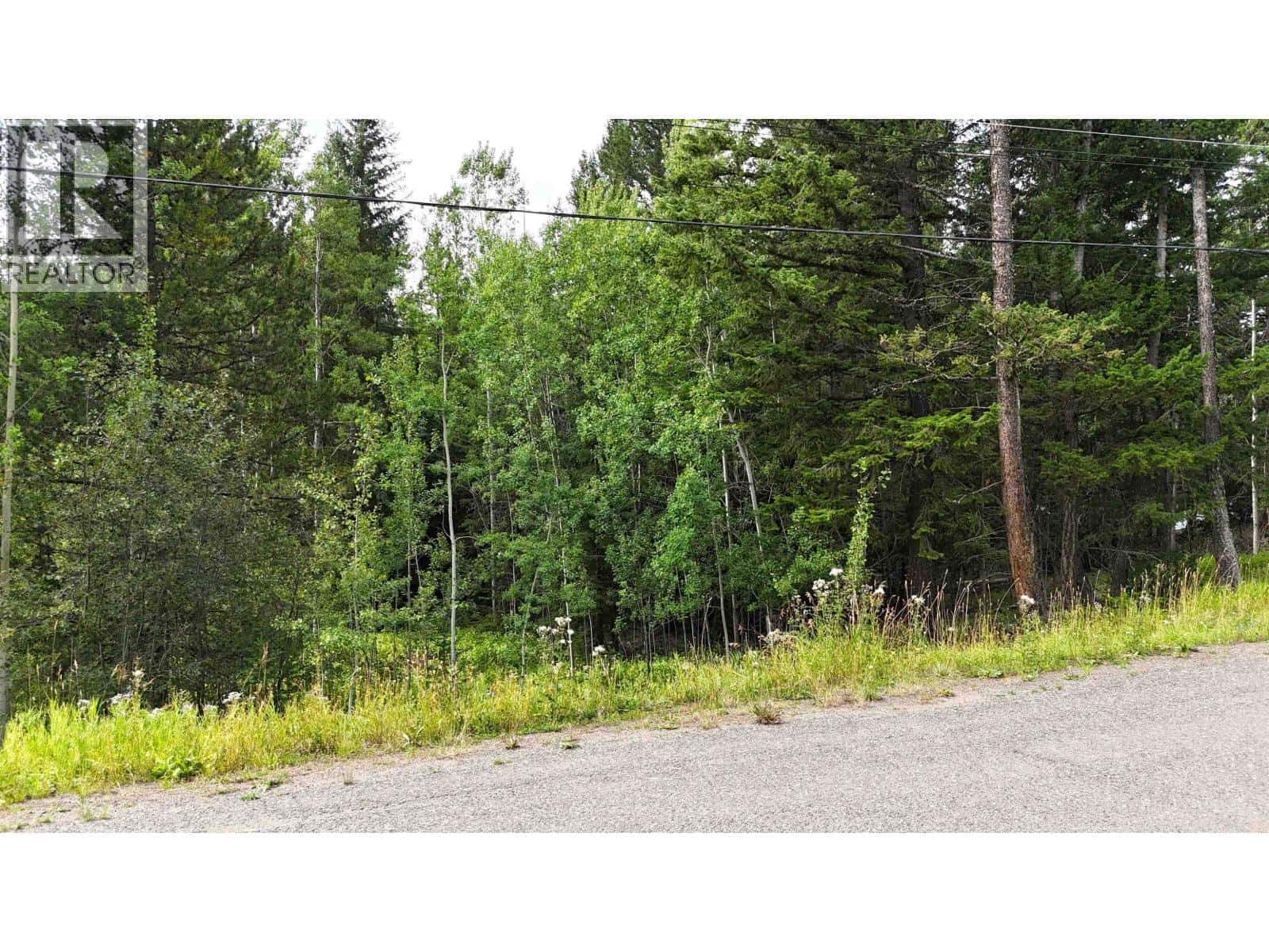 6120 RANCHETTE ROAD — Horse Lake, British Columbia - Photo 5 of 11