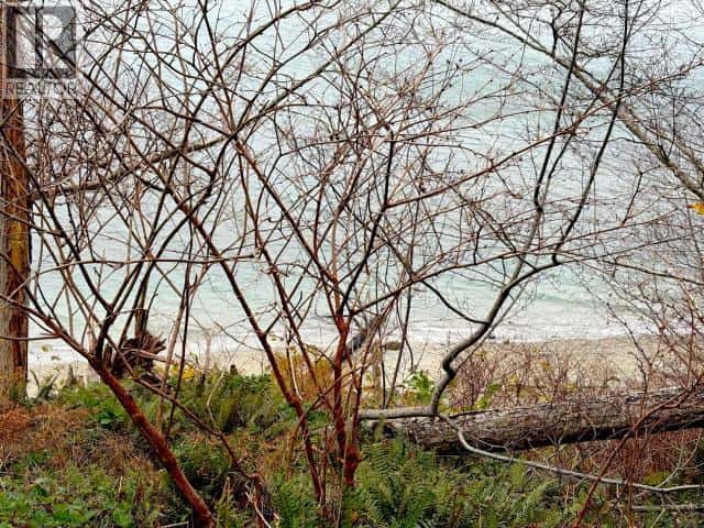 Savary Island — Savary Island - Photo 2 of 22