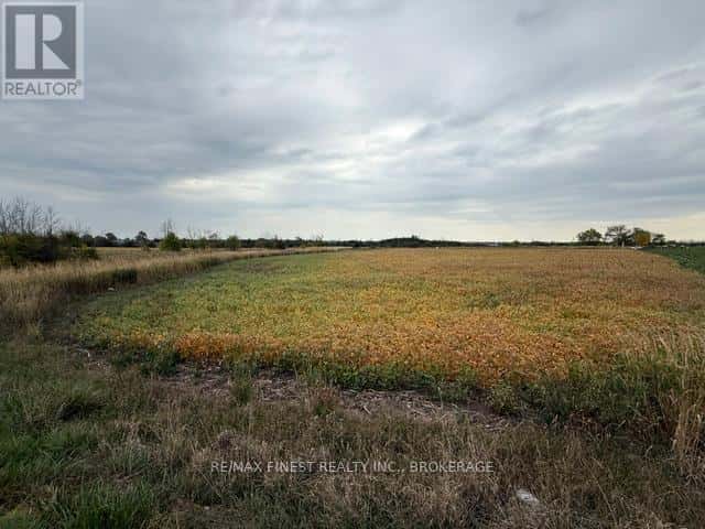 Greater Napanee (Greater Napanee) — Greater Napanee (Greater Napanee) - Photo 5 of 12