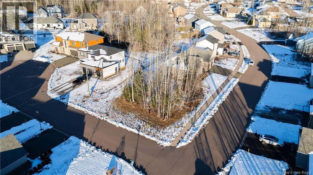 77 Blackstone — Moncton, New Brunswick - Photo 4 of 26