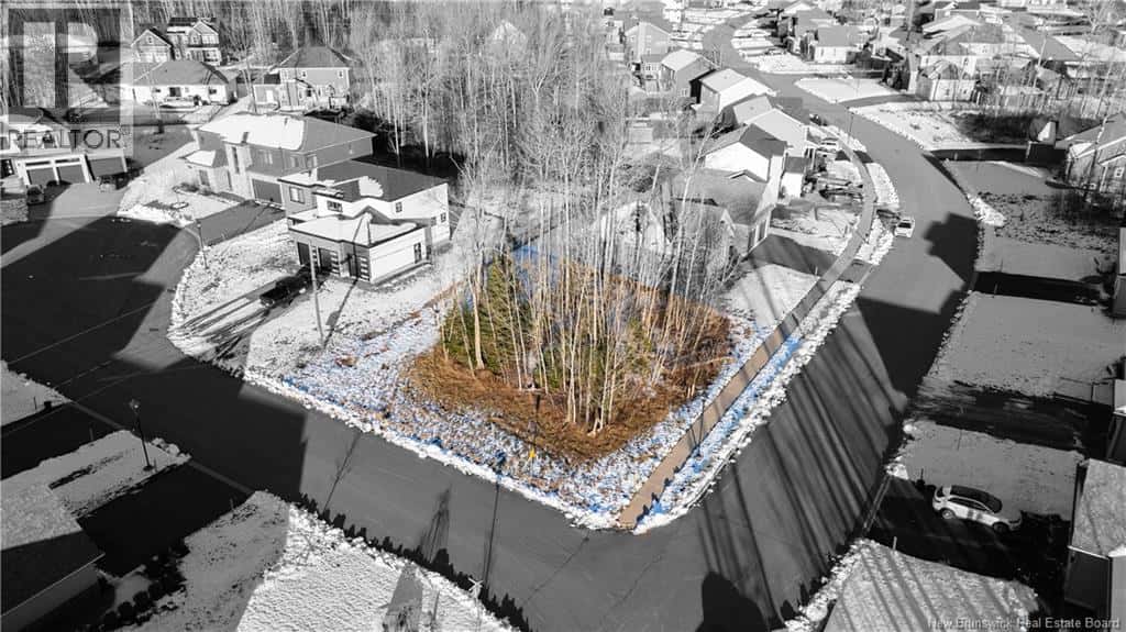 77 Blackstone — Moncton, New Brunswick - Photo 5 of 26