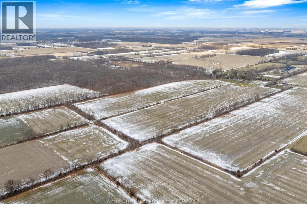 Kingsville — Kingsville - Main photo