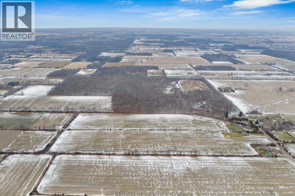 Kingsville — Kingsville - Photo 4 of 17