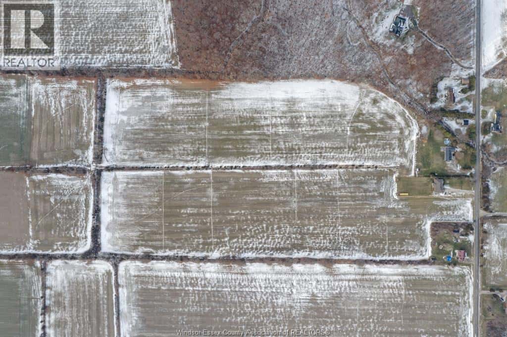 Kingsville — Kingsville - Photo 3 of 17